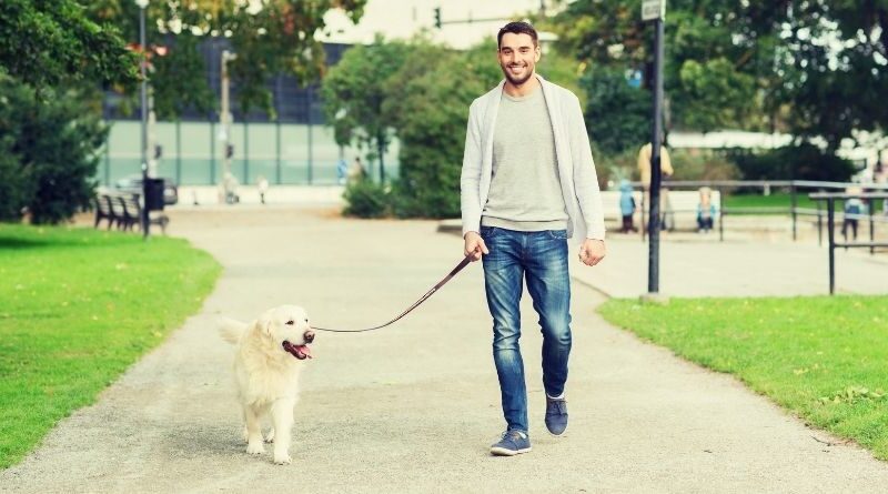 Hundägare är en målgrupp med stor köpkraft företagsforumet