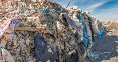 Privatpersoner kan göra stor skillnad för klimatet företagsforumet