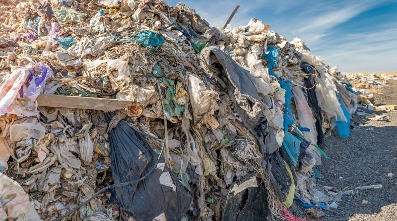 Privatpersoner kan göra stor skillnad för klimatet företagsforumet