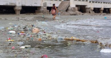 Svårt att återvinna plast från hav företagsforumet